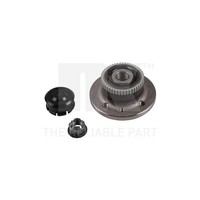 Radlagersatz NK 763921 FüR Renault, Hinterachse
