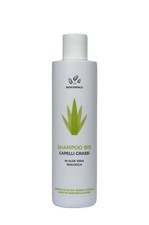 Shampooing cheveux gras bio à l'Aloe Vera et lierre - 250 ml