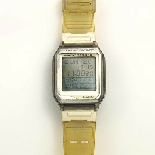 casio memory protect 100