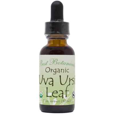 Uva Ursi Leaf Extract Herbal Tincture w/ Dropper - Ship USA