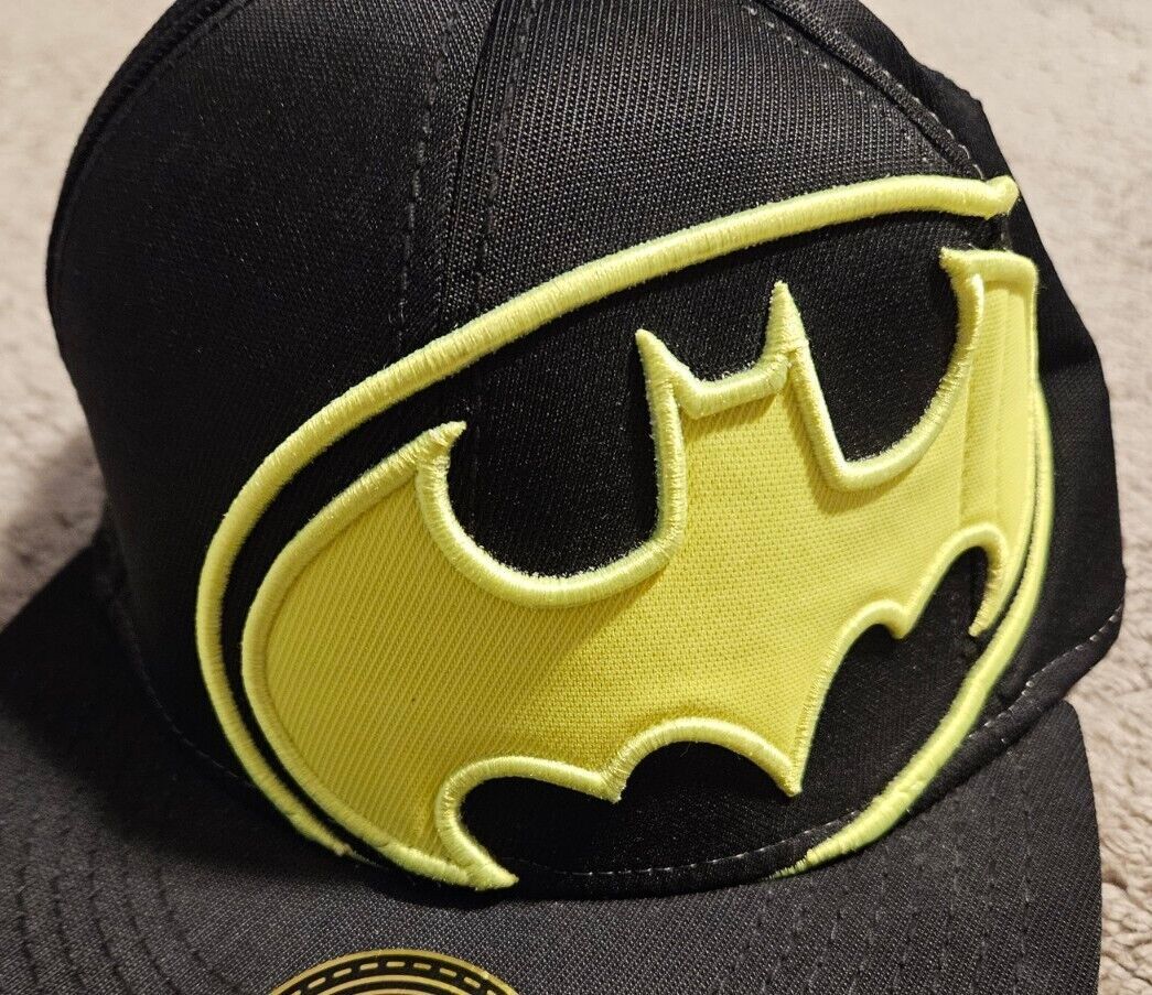 Tilted Logo Batman Flatbilled Fitted Hat DC Comics Youth One Size