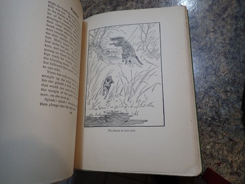 1919 Wild Animals I Have Known And 200 Drawings, Ernest Thompson Seton - Picture 7 of 10