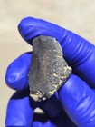 NWA L5 Meteorite 21.570g Fresh Fusion Crusted Individual W0 Provisional — photo 2
