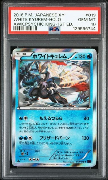 PSA 10 White Kyurem Holo R 019/078 2015 Pokemon Card Japanese