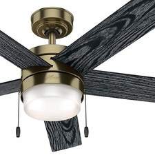 Hunter Fan 52 inch Brass Indoor Ceiling Fan with Light and Pull Chain