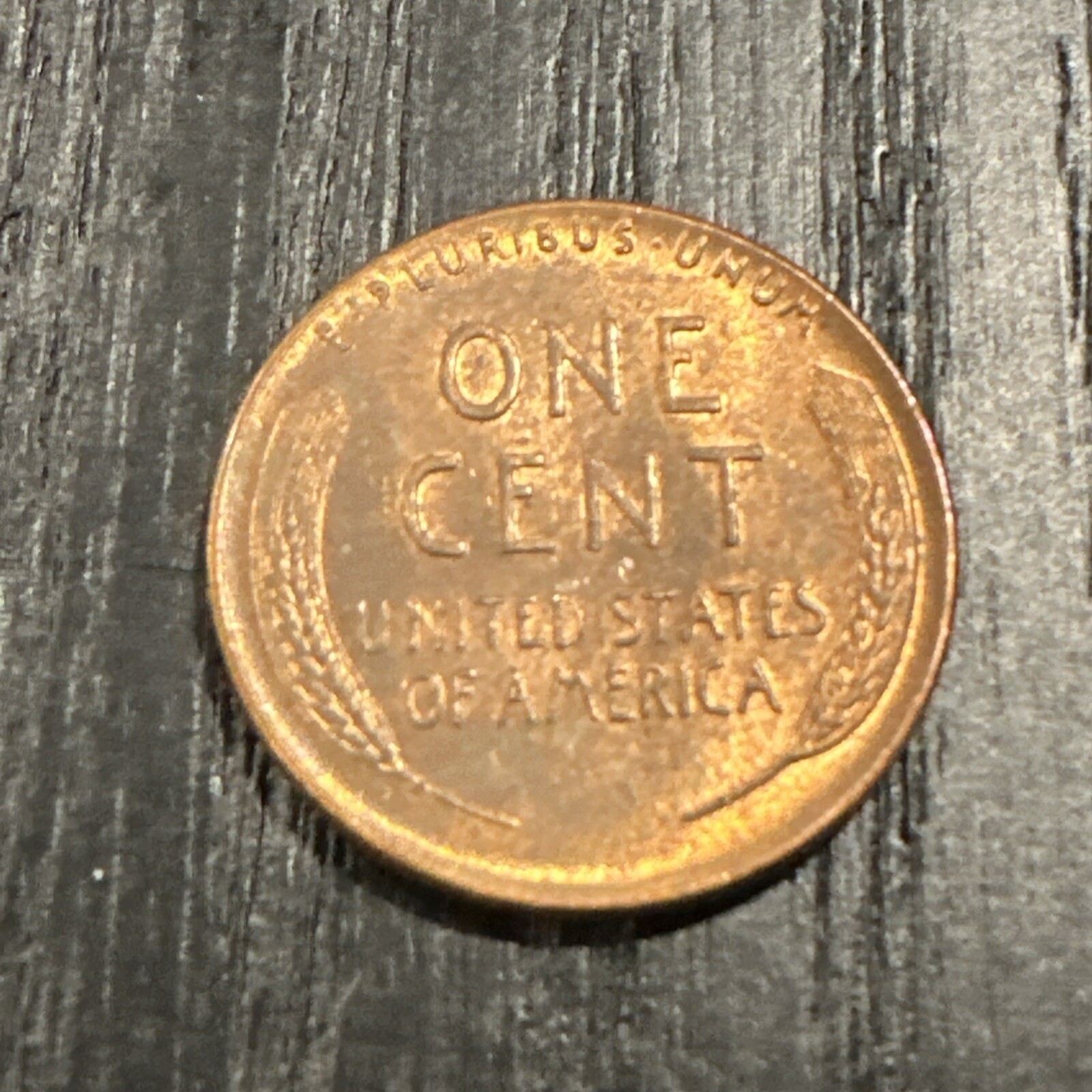 Foto 2 di 2