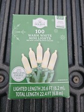 Holiday Time 100 Warm White Mini LED Lights with White Wire Indoor/Outdoor