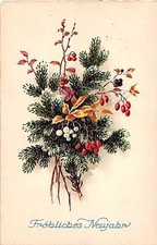 BG4490 neujahr new year mistletoe fir branch   germany  greetings