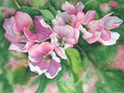 New ListingSo Pretty Pink Blossom Flowers Floral Watercolor Painting Collectible Art