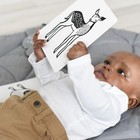 Wee Gallery Infant Animal Art Cards Baby Black & White Contrast Heavyweight — photo 5