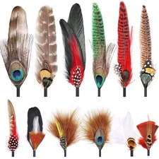 iHUFeather 12Pcs Hat Feathers, Assorted Natural Feathers for Hats Colorful Re...