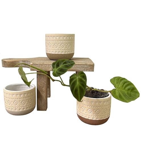 Set of 3 Modern 3" Ceramic Flower Plant Planters, Ceramic Pot Planter Indoor ...