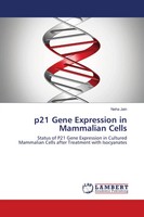 Neha Jain | P21 Gene Expression In Mammalian Cells | Taschenbuch | Englisch