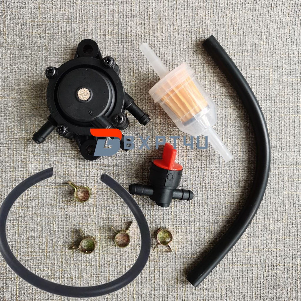 Fuel Pump & Fuel Filter For Ryobi RYi2200 1800/2200 Watts Inverter Generator