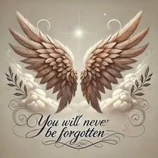 Angel Wings 5D Diamond Painting Kits for Adults,Diamond Art HL6602