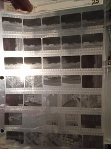 Nature , Structure Negative Lot