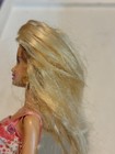 Foto 9 di 13