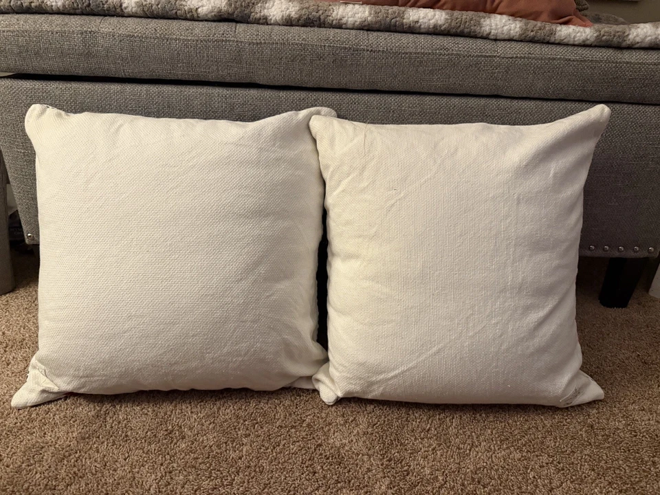 🔥Antropolgia - Abstracto (juego de 2) Almohadas 16x16 de Claire Desjardins Foto 4 de 4