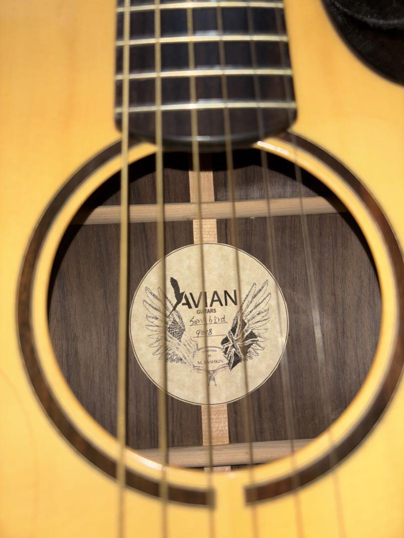 Acoustic Guitar Avian Songbird R DC Michael Bashkin Solid