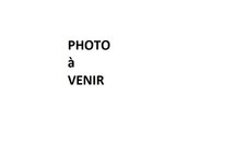 PLAYMOBIL (B756) WESTERN - Fixation Harnais Timon d'Attelage Chariot