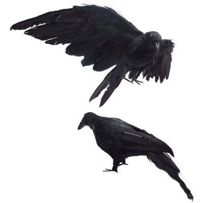 Realistic Extra Large Black Crows for Halloween Decor