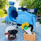 Foto 2 di 6