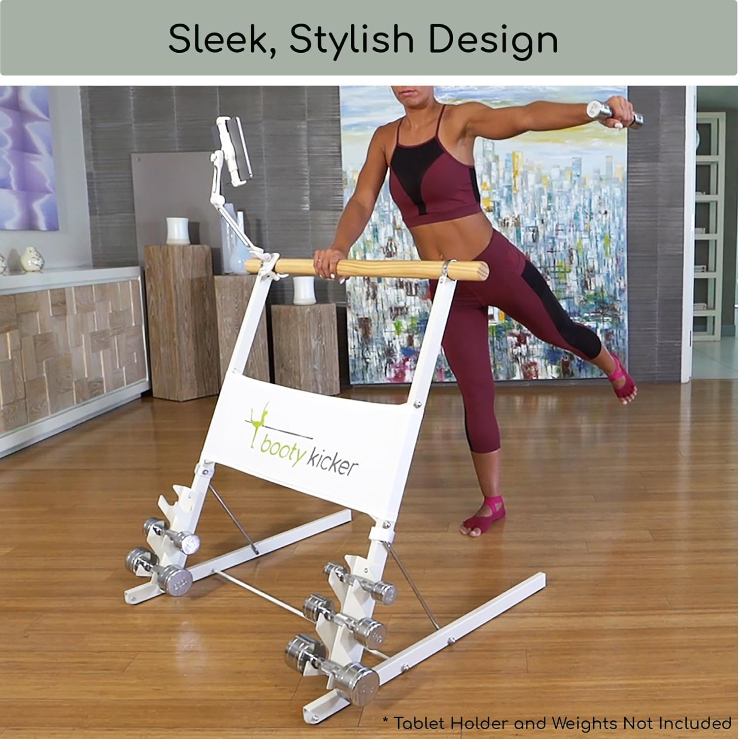 Versatile Home Fitness Equipment for Barre, Ballet, Abs, and Cardio Workouts alternate view 6