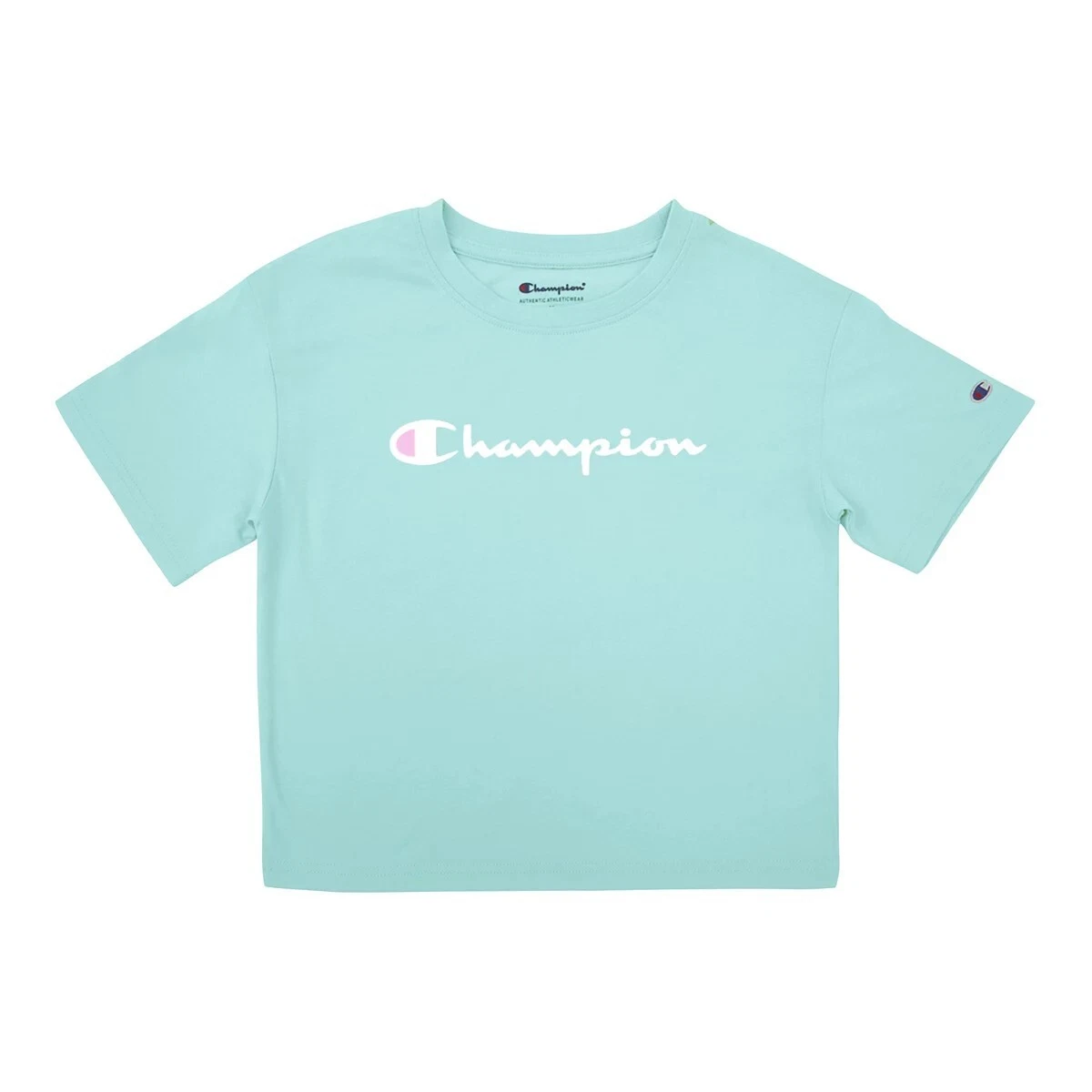 Champion small script online boxy crew sweatshirt