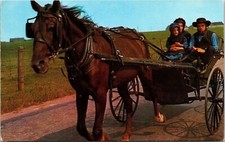 Greetings Amish Country Family Riding Homeward Horse Buggy Postcard Unused UNP