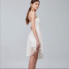 Keepsake The Label Midnight Hour Strapless Lace Fit and Flare Dress