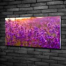 Wandbild Glas-Bild Druck auf Glas 100x50 Deko Blumen & Pflanzen Lavendelfeld