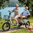 Elektro Dreirad für Erwachsene 48V Differential Lastentrike 25km/h 250kg 50km