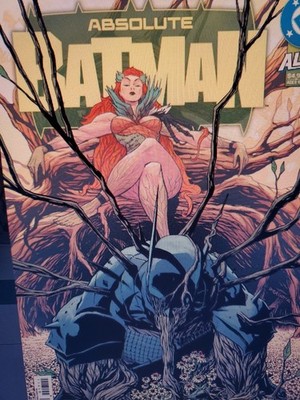Absolute Batman 17 Cvr  A Nick Dragotta DC Comics