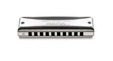 SUZUKI Fabulous F-20E C 10 Hole Diatonic Blues Harmonica Japan Import