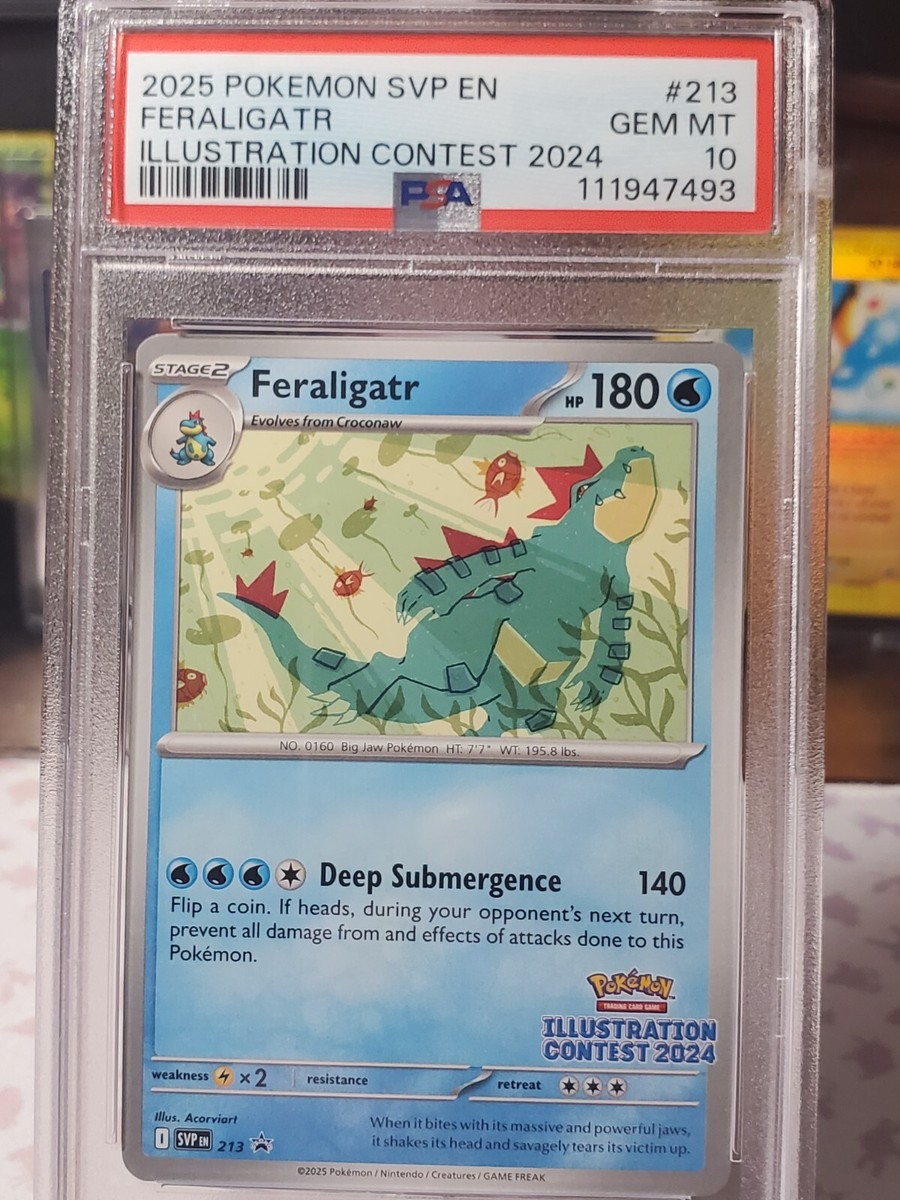 3連 ピカチュウ ILLUSTRATION CONTEST 2024 PSA10 PSA10] Pikachu ILLUSTRATION CONTEST 2024 (Used) （1142957363