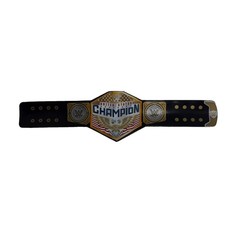 WWE Snap Slap Band Untied States Championship US ???? Rare