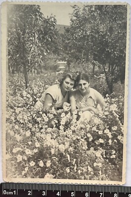 Two Pretty Cute Young Women Charming Attractive Ladies Nice Girls Old Photo