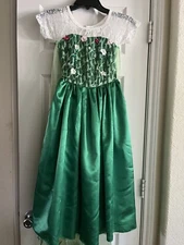 Beautiful Princess Fairy Costume Dress Long Mesh Flower Shiny Train Girls 130