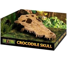 Exo Terra Crocodile Skull Terrarium Decor Hideout for Reptiles and Amphibians