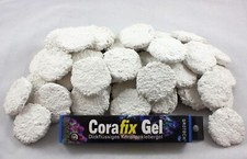 50 Ablegersteine Scheiben Disc ohne Loch + 20g Korallen-Gelkleber Corafix Gel