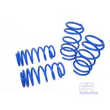 EAL Front Coil Springs – Ford Escort MK7 1995-2001, 1.6 1.8 16V Turbo, Pair