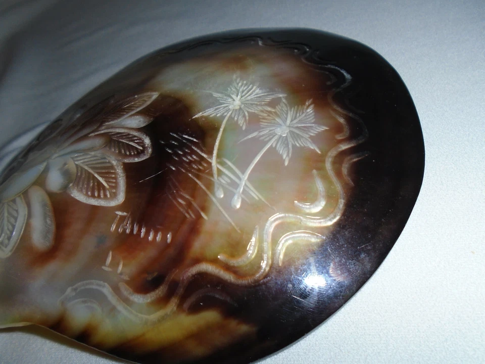 Таитянская винтажная резная перламутровая раковина таитянские пальмы гардения 5 1/5 дюйма - Изображение 2 из 4