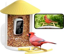 Original Netvue Birdfy Feeder FHD Smart Bird Watching Feeder Camera Yellow Color