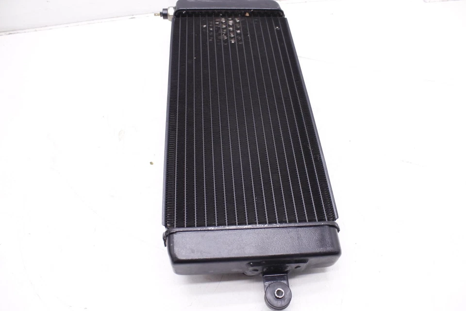 2003 Honda Shadow Ace 750 Oem Engine Cooler Cooling Radiator and Cover R8 Foto 4 de 4