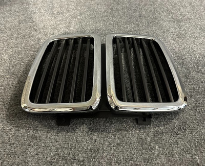 BMW Center Grille - 51-13-1-873-253 - For BMW E28 533i, 535i, M5, 524td, 528e