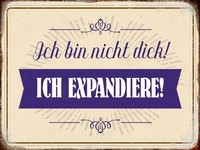 Holzschild 30X40 Cm Bin Nicht Dick Ich Expandiere Deko Geschenk Holz Schild