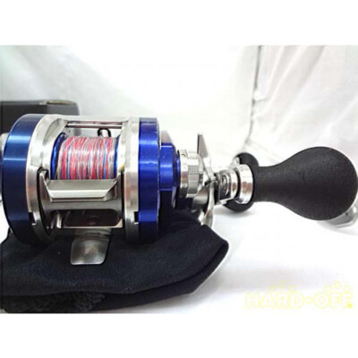 DAIWA Ryoga BJ C1012 Bay Jigging Reel PE-SH | eBay