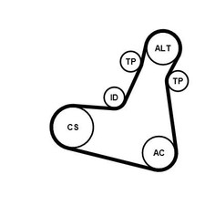 CONTINENTAL CTAM KEILRIPPENRIEMEN-SATZ passend für MERCEDES-BENZ C-KLASSE CLS