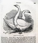 Picture 17 of 24