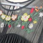 Bild 4 von 15